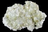 Plate Of Gemmy, Chisel Tipped Barite Crystals - Mexico #84428-1